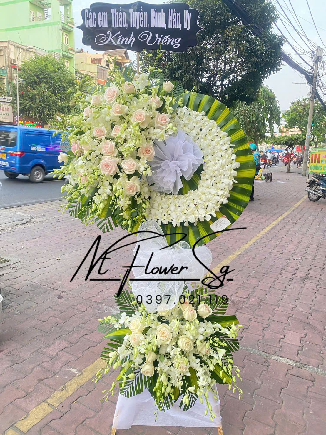 Hoa Tang Hồng kem HT46